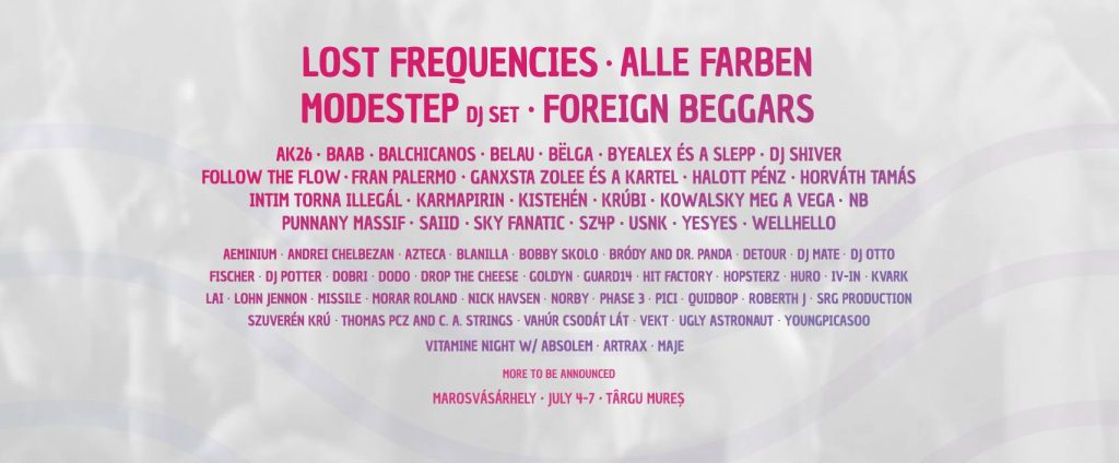 VIBE Festival 2019