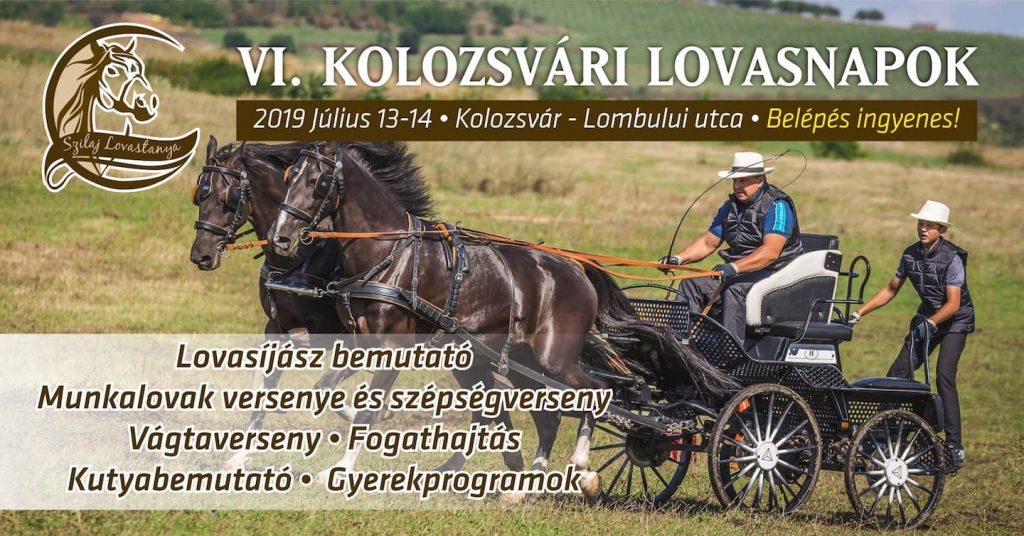 VI. Kolozsvári lovasnapok