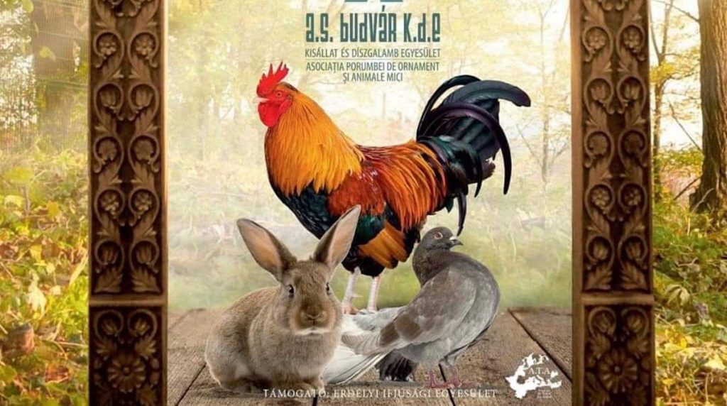 2 Kisállat kiállítás Székelyudvarhelyen - január 10.