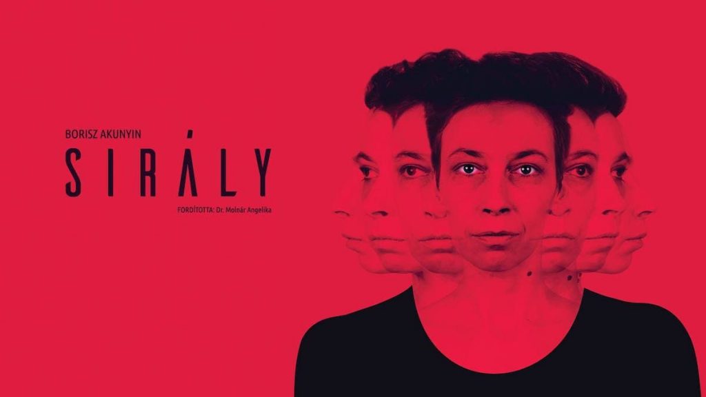 Borisz Akunyin- Sirály | bérletszünetes előadás - Január 19.