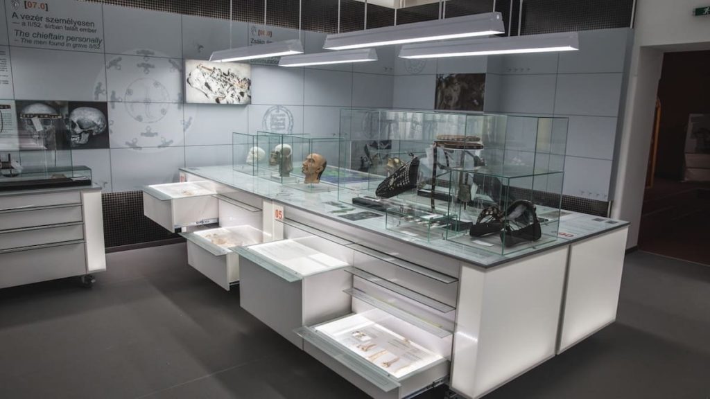 Tárlatvezetés az Elit Alakulat 2.0 kiállításon - Január 28.