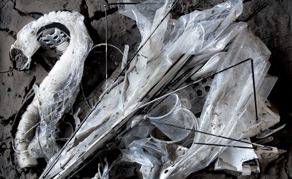 Hattyúk tava újratöltve - Február 11.