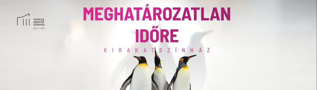 meghatarozatlan idore